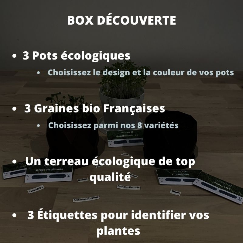 Box Découverte – Assortiment de Plantes Aromatiques