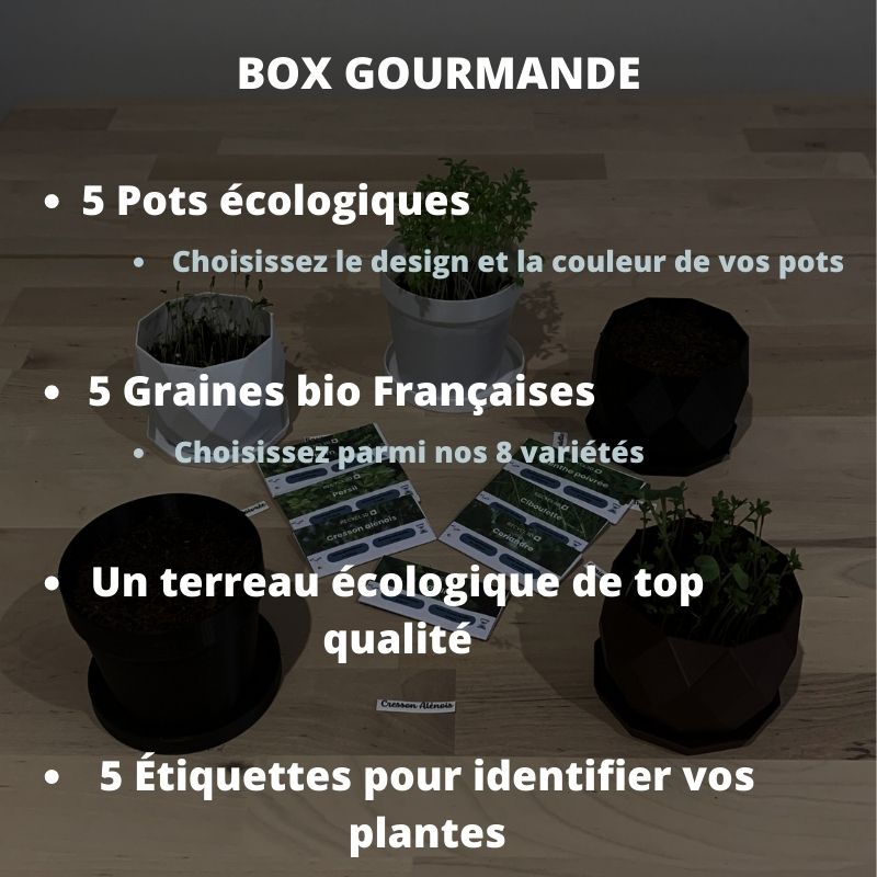 Box Gourmande - Kit Herbes Aromatiques pour Balcon