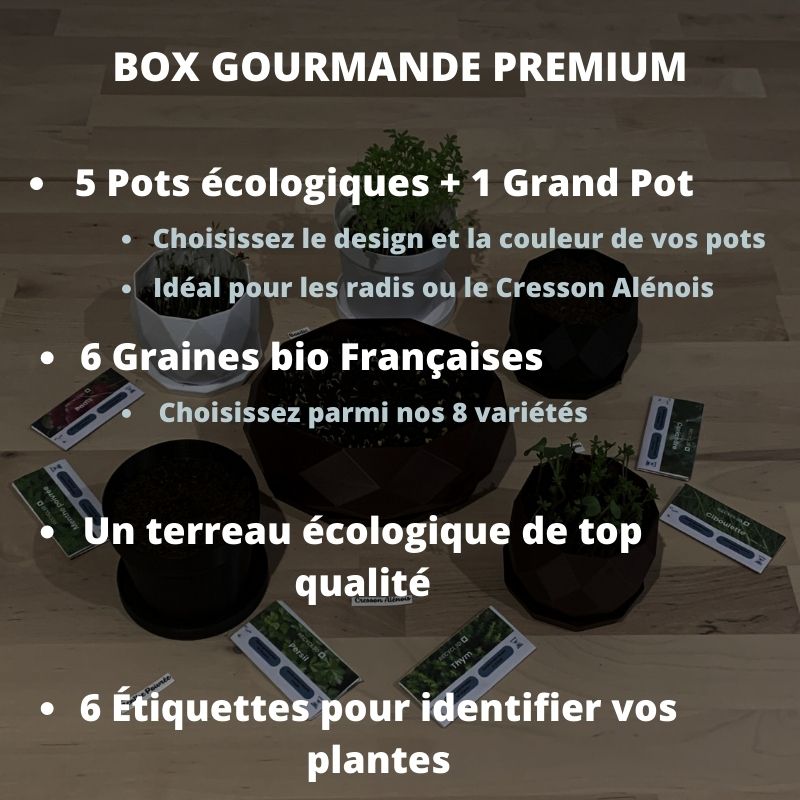 Box Gourmande Premium – Box de Plantes Aromatiques