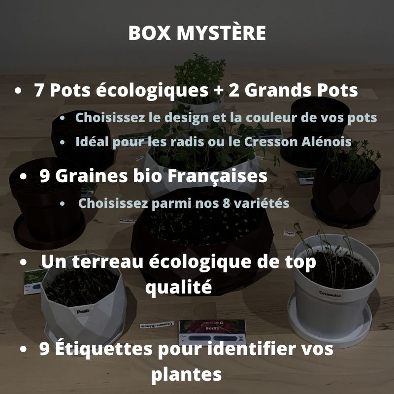 Box Mystère – Coffret plantes aromatiques